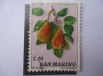 Sellos de Europa - San Marino -  Flora.