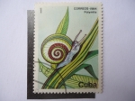 Stamps Cuba -  Polymita.