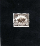 Stamps United States -  BUFALO