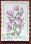 Stamps : Europe : Hungary :  Flora