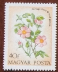 Stamps Hungary -  Flora