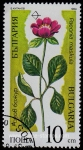 Stamps Bulgaria -  SG. 3588