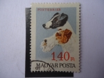 Sellos del Mundo : Europa : Hungra : Foxterrier - Magyar.