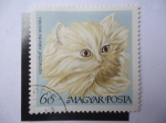 Stamps Hungary -  Kremszinu Angora Macska - Magyar Posta.