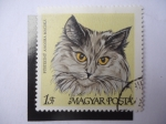 Stamps Hungary -  Fustszinu Angora Macska - Magyar Posta.