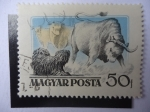 Stamps Hungary -  Magyar Posta.