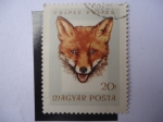 Stamps Hungary -  Vulpes - Magyar Posta.