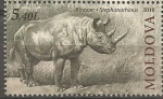 Stamps : Europe : Moldova :  RINOCER.  STEPHANORHINUS.