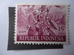 Sellos de Asia - Indonesia -  Flora: Kopi - Republik Indonesia.
