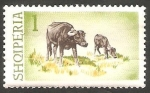 Stamps Albania -  747 - Búfalos