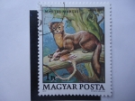 Stamps Hungary -  Fauna: Martes Martres - Magyar Posta.