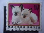 Stamps Hungary -  Fauna: Felis Domestica - Magyar Posta.