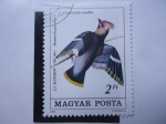 Stamps Hungary -  Fauna: Bombycilla Garrulus - Magyar Posta.