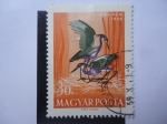 Stamps Hungary -  Fauna:Vörös Gém - Magyar Posta.