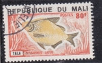 Stamps Africa - Mali -  pez -citharinus latus