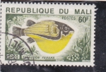 Stamps : Africa : Mali :  pez -tetrodon fahaka
