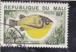 Sellos de Africa - Mali -  pez -tetrodon fahaka