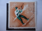 Stamps Hungary -  X. Téli Olimpia 1968