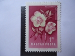Stamps Hungary -  Helleeorus - Magyuar Posta.