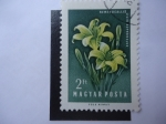 Stamps Hungary -  Hemerocallis Lilio Asphodelus - Magyar Posta.