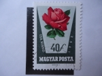 Stamps Hungary -  Tea Hibrid - Magyar Posta.