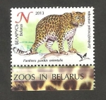 Stamps Belarus -  821 - Pantera parda