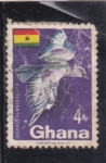 Stamps Africa - Ghana -  pajaro y bandera