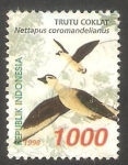 Stamps Indonesia -  1655 - Pato nettapus coromandelianus