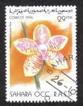 Stamps : Africa : Morocco :  Flor