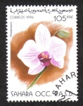 Stamps : Africa : Morocco :  Flor