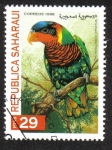 Stamps : Africa : Morocco :  Ave