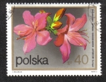 Stamps Poland -  Rododendro japonicus