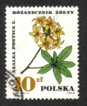 Stamps Poland -  Plantas Medicinales