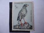 Stamps Angola -  Melierax Mechowi.