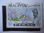 Sellos de Asia - Malasia -  Flora: Perak - Orquidea.