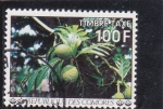 Stamps Africa - Comoros -  fruta tropical