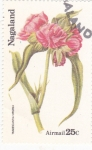Stamps Asia - Nagaland -  flores-tradescantia virginia