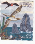 Sellos de America - M�xico -  conservemos las especies marinas