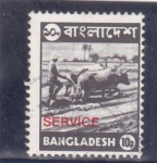 Sellos de Asia - Bangladesh -  bueyes arando la tierra-SERVICE