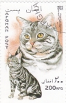 Stamps Afghanistan -  gatos de raza