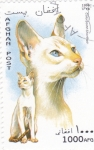 Stamps Afghanistan -  gatos de raza