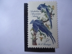 Sellos de America - Estados Unidos -  Audubon, American Arlisl. 