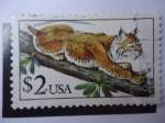 Sellos de America - Estados Unidos -  Bobcat (lynx rufus)-Gato Salvaje -S/2482.