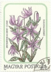 Stamps Hungary -  FLORES. DIENTE DE PERRO. Erythronium dens-canis. YVERT HU 3008