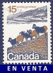 Stamps : America : Canada :  CANADÁ Cabras 15 (2)