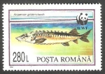 Stamps Romania -  4201 - WWF, Fauna protegida