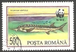 Stamps Romania -  4202 - WWF, Fauna protegida