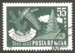 Stamps : Europe : Romania :  1942 - Campaña de forestación