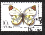 Sellos de Europa - Rusia -  Mariposa