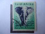Sellos de Africa - Sud�frica -  Fauna: Elefante - S/205